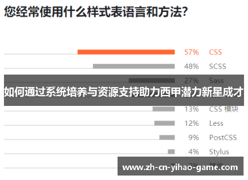 如何通过系统培养与资源支持助力西甲潜力新星成才