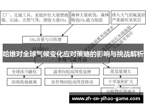 哈维对全球气候变化应对策略的影响与挑战解析