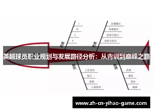英超球员职业规划与发展路径分析：从青训到巅峰之路